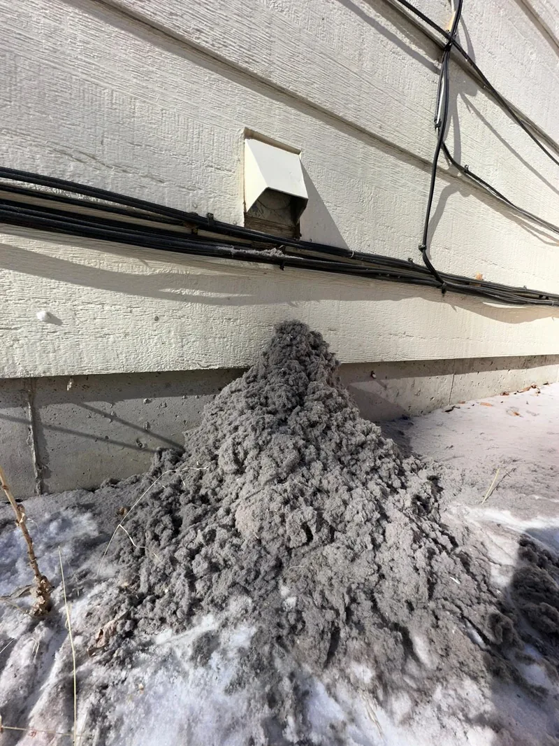 Pile of lint removed from a dryer vent after professional cleaning
