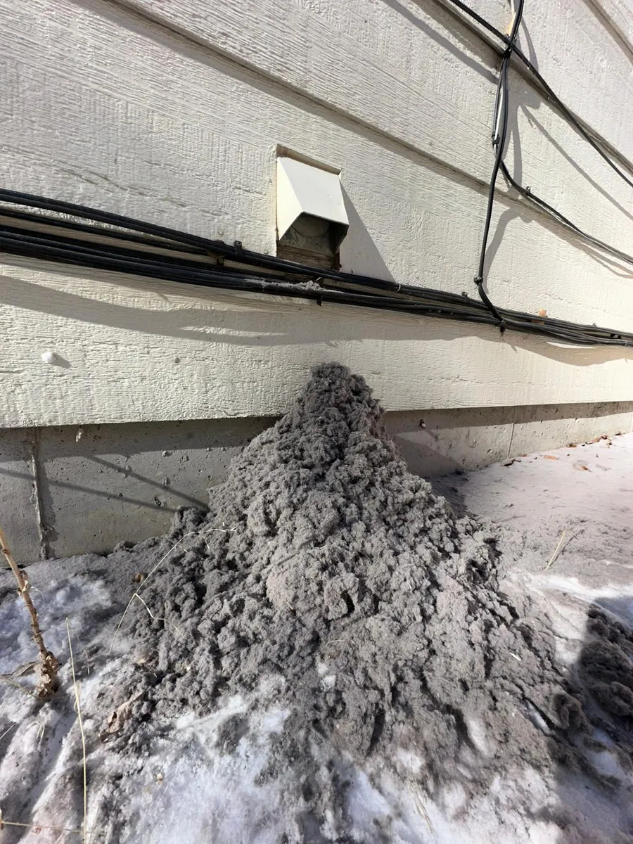 Lint removed from a dryer vent